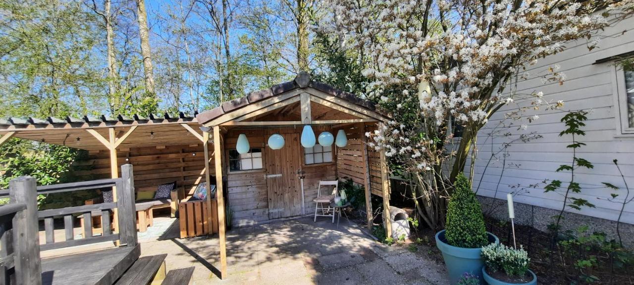 Kajuit423 6Pers 5Sterren Vakantiepark Bergumermeer Aan Het Water In Friesland Met Zwembad Villa Suameer Eksteriør billede
